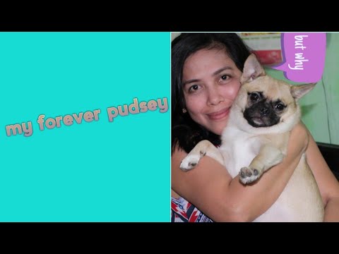 Video: Pug-pom Basahan