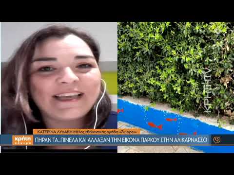 Πήραν τα… πινέλα και άλλαξαν την εικόνα πάρκου στην Αλικαρνασσό
