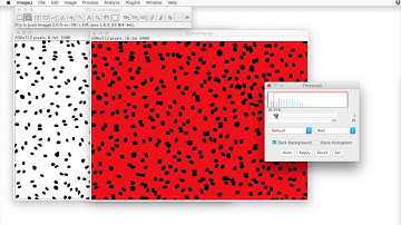 FIJI for Quantification: Euclidean Distance Measurements
