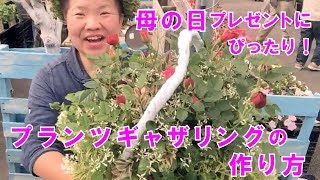 薔薇の寄せ植えプランツギャザリング母の日プレゼントにピッタリ 【ライブ配信】手元がよくわかるアングル