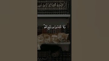 وَلَا تَيْأَسُوا مِن رَّوْحِ اللَّهِ ۖ  سورة يوسف القارئ خالد الجليل