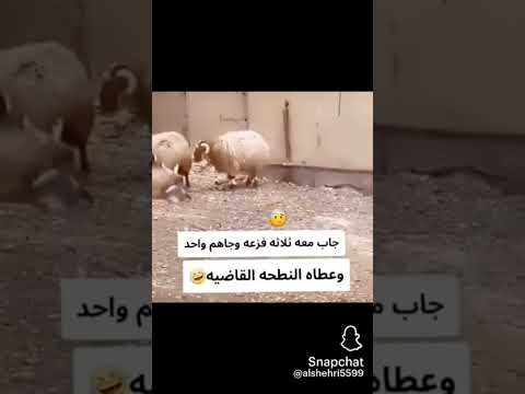 خذها وانا مبارك