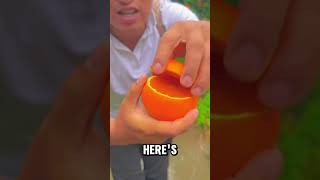 Why Oranges Arent Always Orange