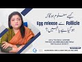 Understanding ovulation to know when the egg release from folicle  dr naila jabeen  gynae solution