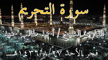 سورة التحريم للقارئ أحمد حميد