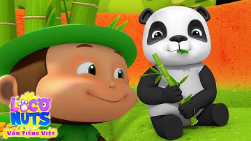 Bài hát vườn bách thú giai điệu mẫu giáo cho trẻ em