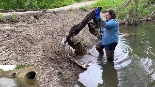 unclogging multiple culverts/new bridges. snake sighting!! 4/22/23