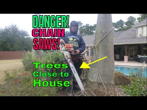 cut-down-tree-near-a-house?-(expert-advice)-houston-water-oak-service