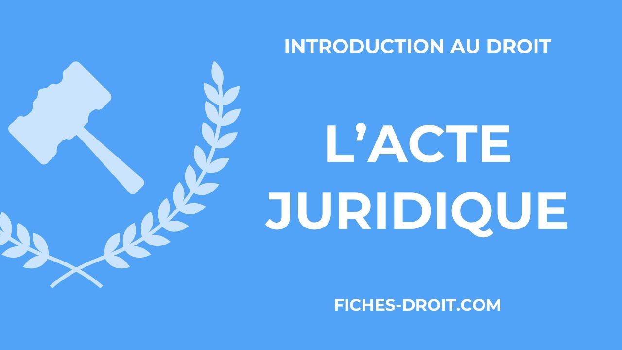 Distinction Def L'acte juridique : définition et distinction avec le fait juridique ...