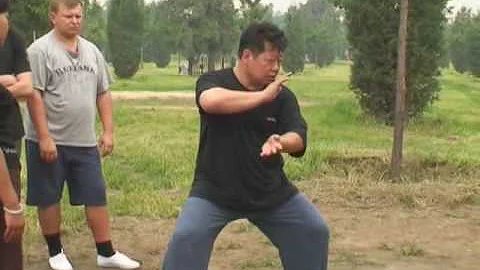 Master Chen Yu - Tui Shou Applications /    -