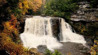 4k Blackwater Falls in Autumn, Nature Relaxation,  White Noise, Sleep, Waterfall