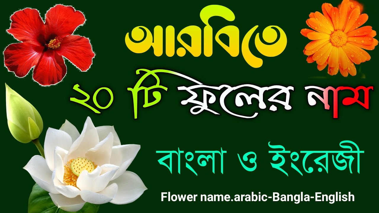 আরবিতে ফুলের নাম || Flower names in arabic-bangla-English - YouTube
