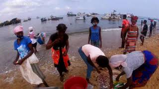 Angola | Mercado do Peixe Mabunda