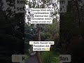 Jangan lupa like subscribe dan bagikan agar semakin banyak yang mendapatkan manfaat dan keberkahan🤲