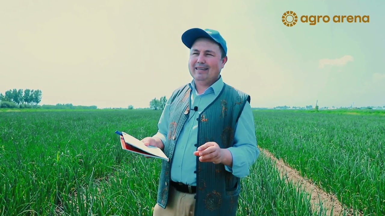 Piyozni tomchilab sug‘orish orqali ko‘chat uslubida etishtirish. 5-qism