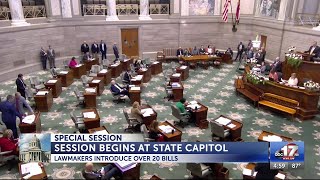 Senators gavel in for special session same day as veto session