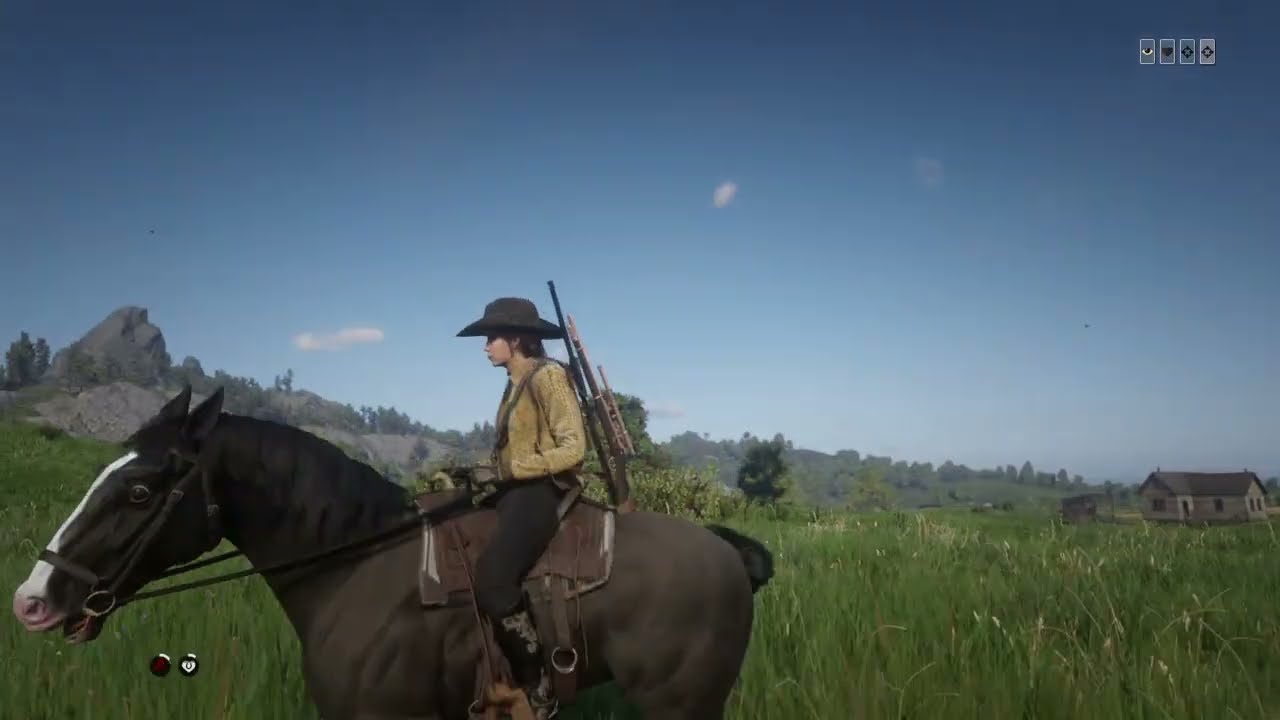 RDR2 Rescue & ReHome: Revenuer's Ride Lame But Lucky