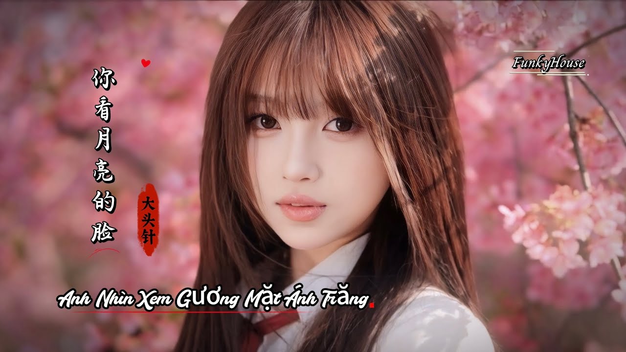 大头针 - 你看月亮的脸 (Dj阿庆 FunkyHouse) Anh Nhìn Xem Gương Mặt Ánh Trăng | Hot Tiktok Douyin 2026