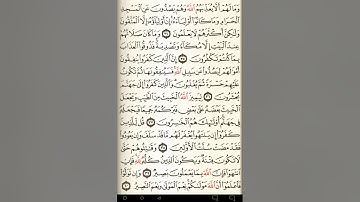 ماهر المعيقلي سورة الأنفال مكتوبة صفحة 181 مصحف المدينة المنورة جودة عالية