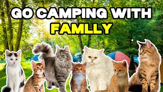 CAT MEMES: GO CAMPING WITH FAMILY by Tuns ider 2,534 views 1 month ago 3 minutes, 21 seconds