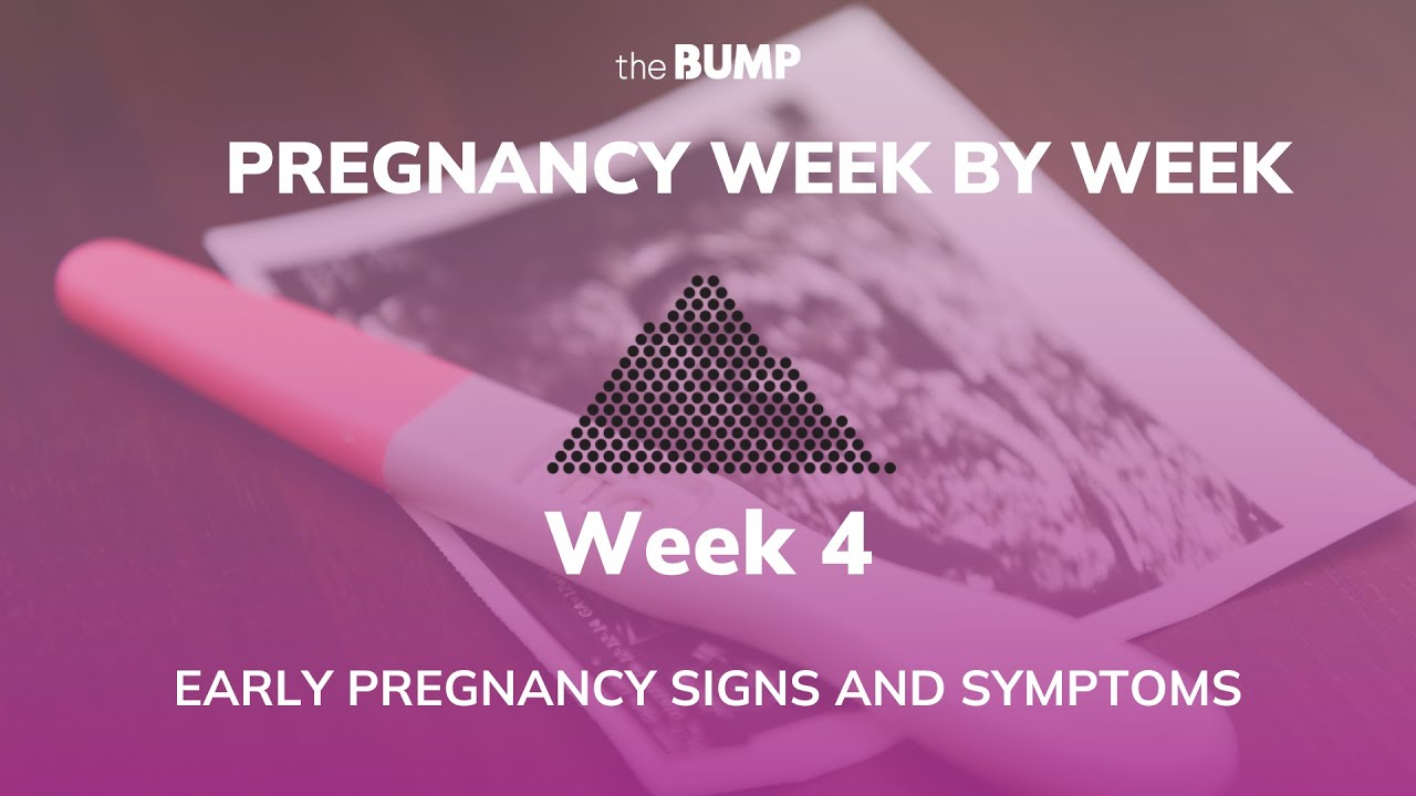 Pregnancy Week 4 | Early Pregnancy Signs and Symptoms | Pregnancy Week ...