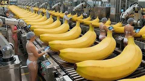 Inside a $50 Million Banana Bread Factory - Incredible Automated Production Process