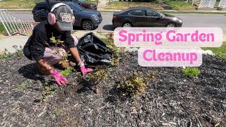 Spring Garden Cleanup | Front Yard Cleanup | Gardening for Beginners