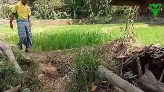 Download lagu Seru nih film kiyai dadakan season 1