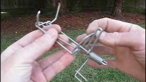 Setting the Gophinator Gopher trap