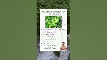 7 tác dụng “kỳ diệu” của cây tầm bóp