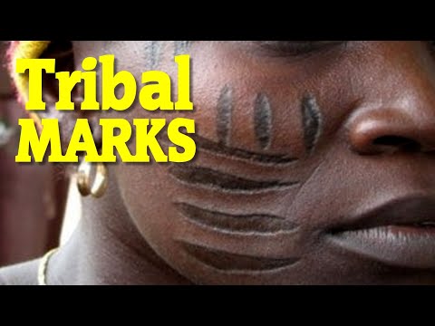 Video: African Clawfoot Tribe - Alternative View