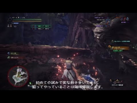 Mhw 歴戦バゼルギウス 狩猟笛での立ち回り Youtube