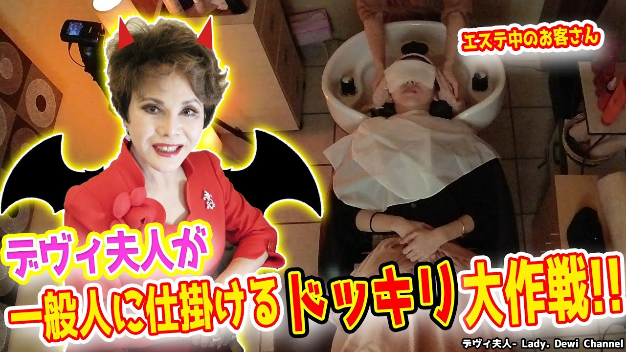 Snow デヴィ夫人と10匹のわんちゃん 芸能人診断で飼い主に似てるのはどの子だ クリスマス Youtube