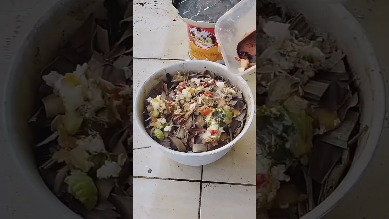 Compost Journey - 4 October 2022 (DAY 24)