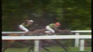 Dancing Brave King George 86