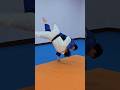 안다리 후리기 연결 허벅다리 걸기 O uchi gari into Uchi mata
