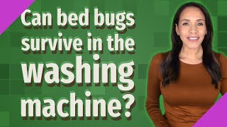 Can bed bugs survive in the washing machine?
