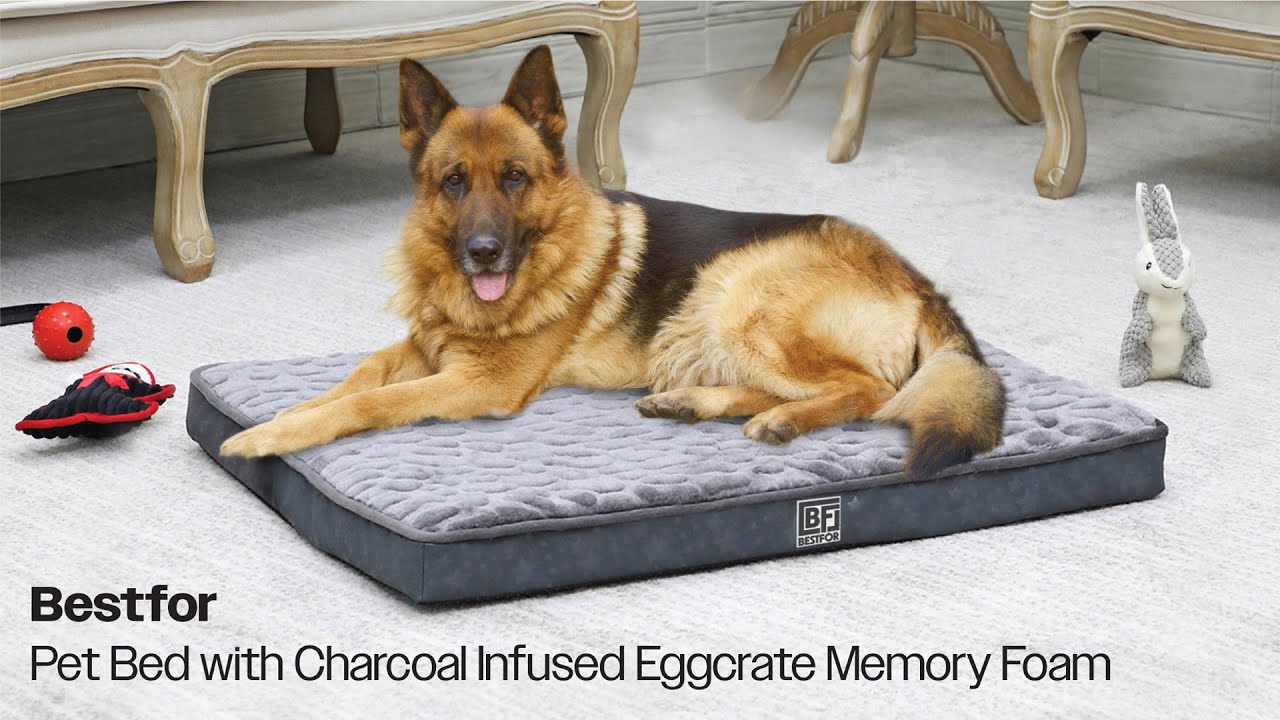 Bestfor Pet Bed with Charcoal Infused Eggcrate Memory Foam