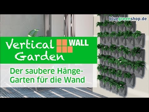 Video: Pflanzen an Wänden anbauen – Tipps zur Verwendung von Wänden im Garten