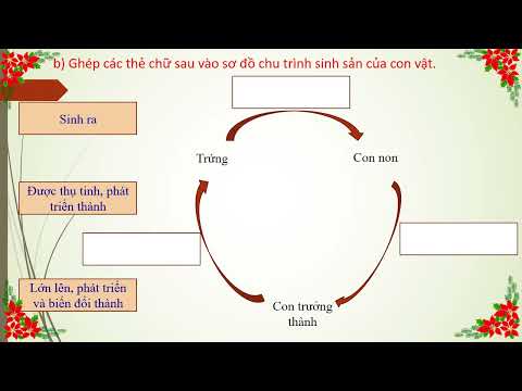 Tuần 28 - Khối 5 - Khoa học - Bài 30: Sinh sản và chu trình sinh sản của động vật