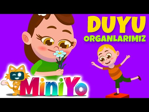 Duyularımız Şarkısı | Miniyo Anaokulu Şarkıları