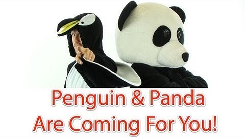 How To Recover From Google Panda And Penguin Updates
