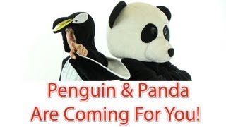 How To Recover From Google Panda And Penguin Updates