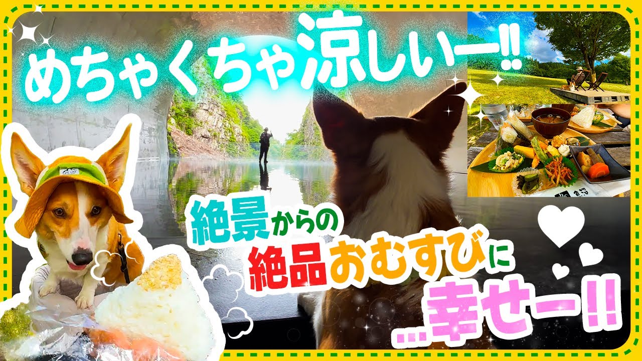 【犬連れ新潟観光】清津峡渓谷トンネルが涼し過ぎ！魚沼の里のおにぎりに幸せ感じ過ぎ〜！