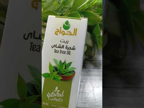 فوائد رهيبه لزيت شجرة الشاي للبشرة والشعر ٢٠ يونيو ٢٠٢٥