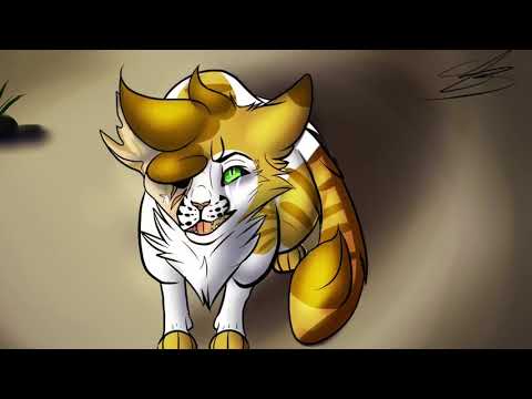 Yellow light pmv part 23