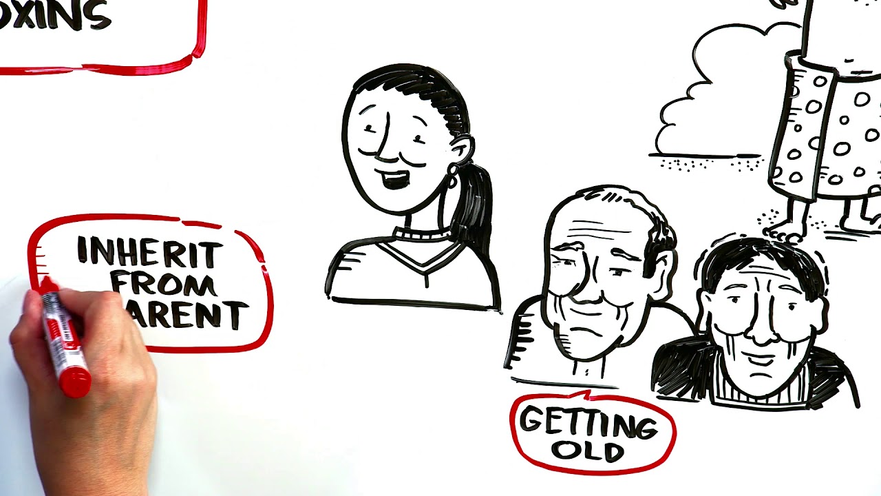 Cancer 101 Whiteboard YouTube