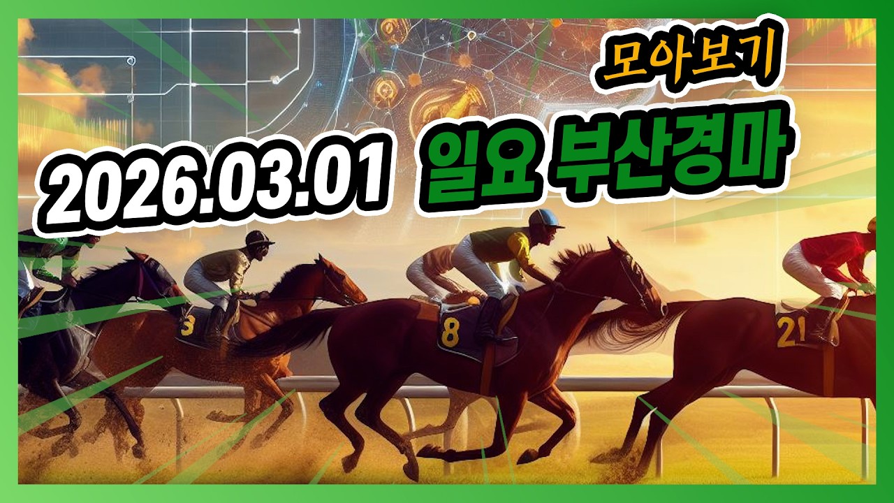 2026년 3월 1일 일요 부산경마 전체경주 모아보기