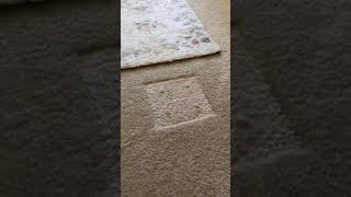 Remove indentations from carpet like magic!