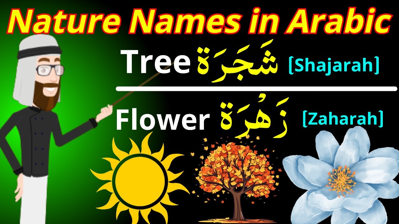 Learn Nature Names in Arabic | Nature Vocabulary in Arabic for Beginners |